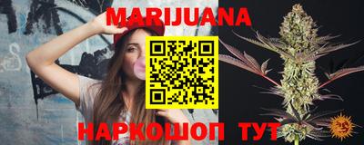 индика Братск
