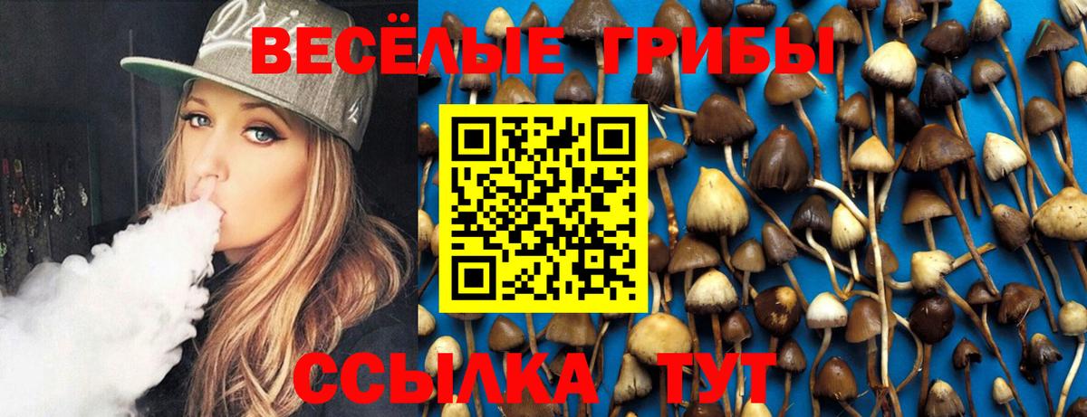 Псилоцибиновые грибы Psilocybe Зеленокумск
