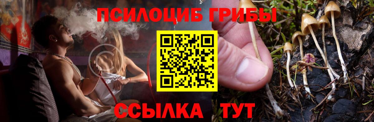 Зеленокумск  где можно купить   Галлюциногенные грибы Cubensis  Вход с VPN  Галлюциногенные грибы прущие грибы 
