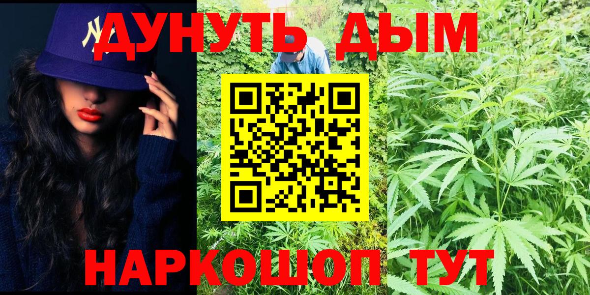 Конопля AK-47 Зеленокумск